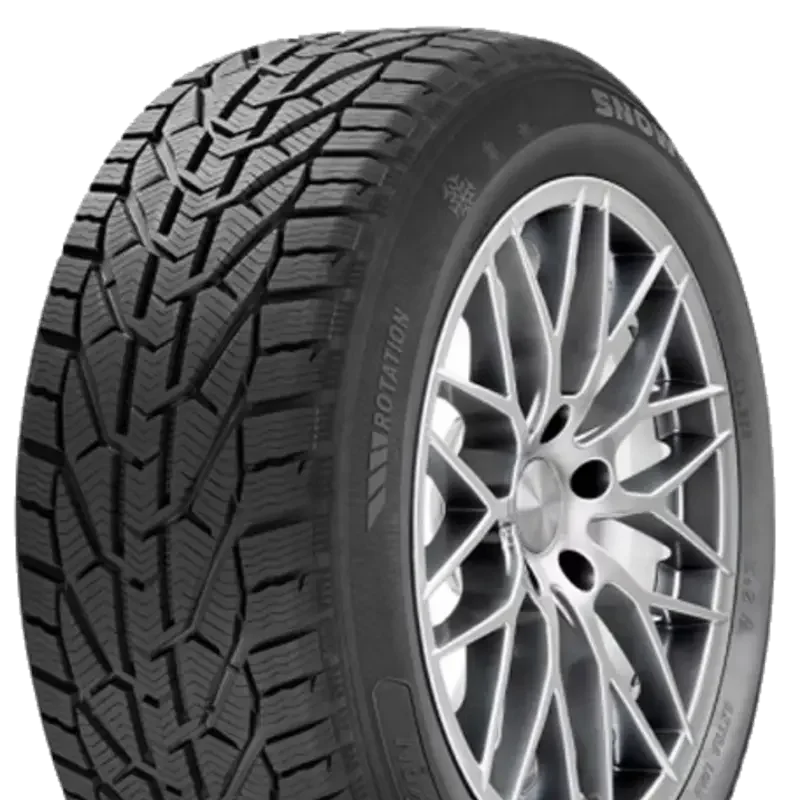 Riken Snow 225/45 R17 91 H